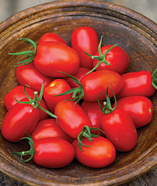 มะเขือเทศสวีทเซน F1 - Sweet Zen F1 Tomato (พันธุ์กระถาง หวาน)