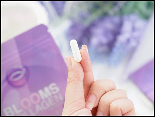 บลูม คอลลาเจน Blooms Collagen