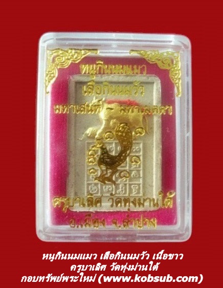 หนูกินนมแมว เสือกินนมวัว เนื้อผงสีขาว ครูบาเลิศ วัดทุ่งม่านใต้