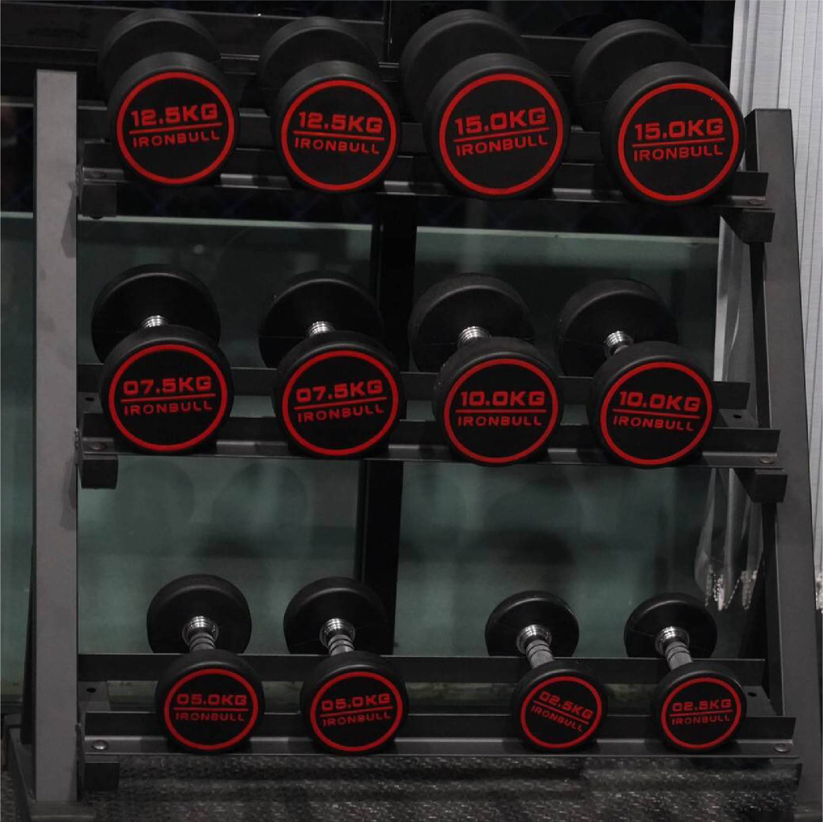 ดัมเบลยางพร้อมชั้นวาง 10 คู่ Commercial 2.5-25kg