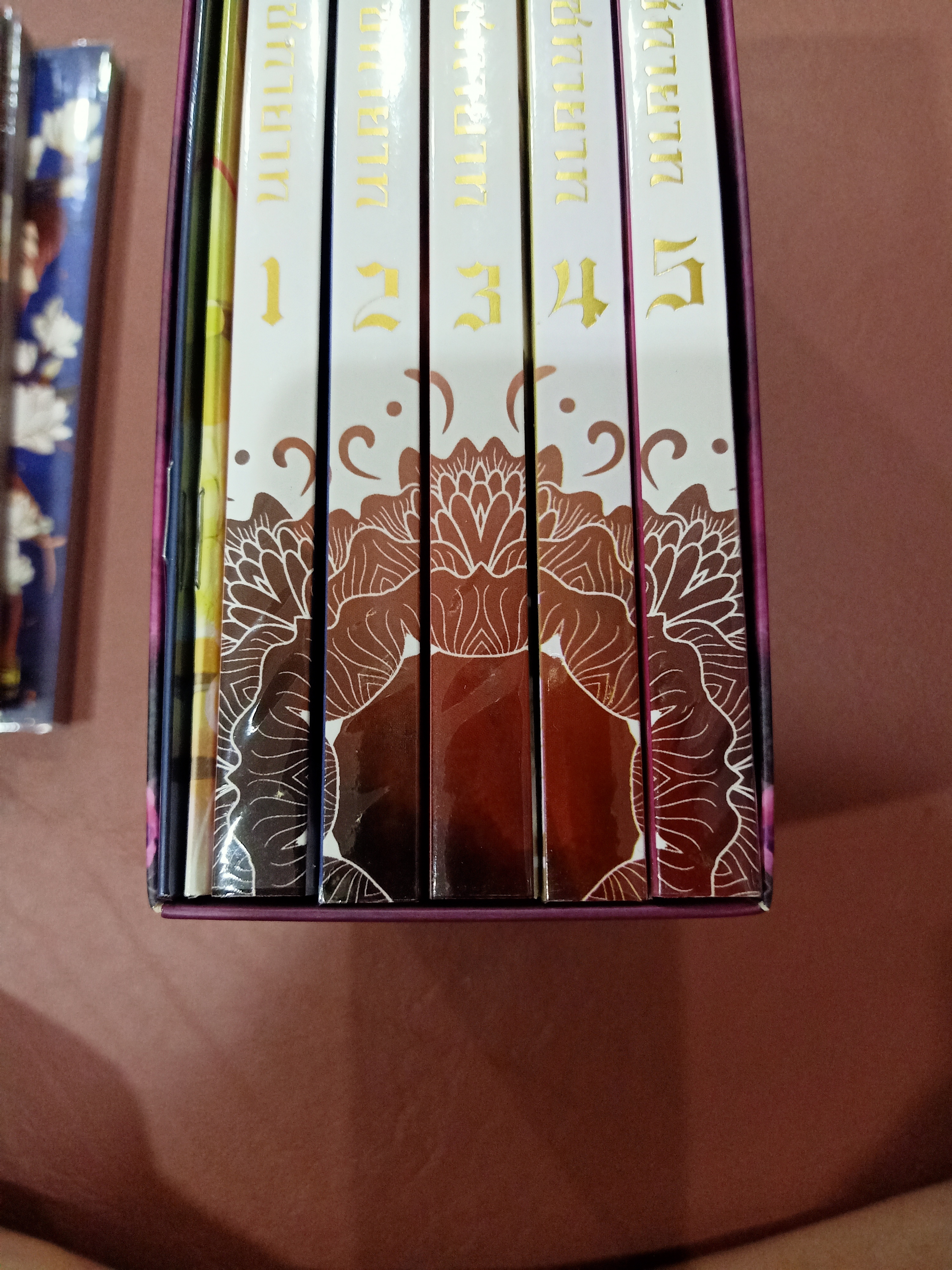 Boxset นิยายแปล รัชทายาท 5 เล่ม รอบจอง ฉบับรีปิ้น + การ์ตูน 3 เล่ม + เล่มพิเศษ + โดจิน