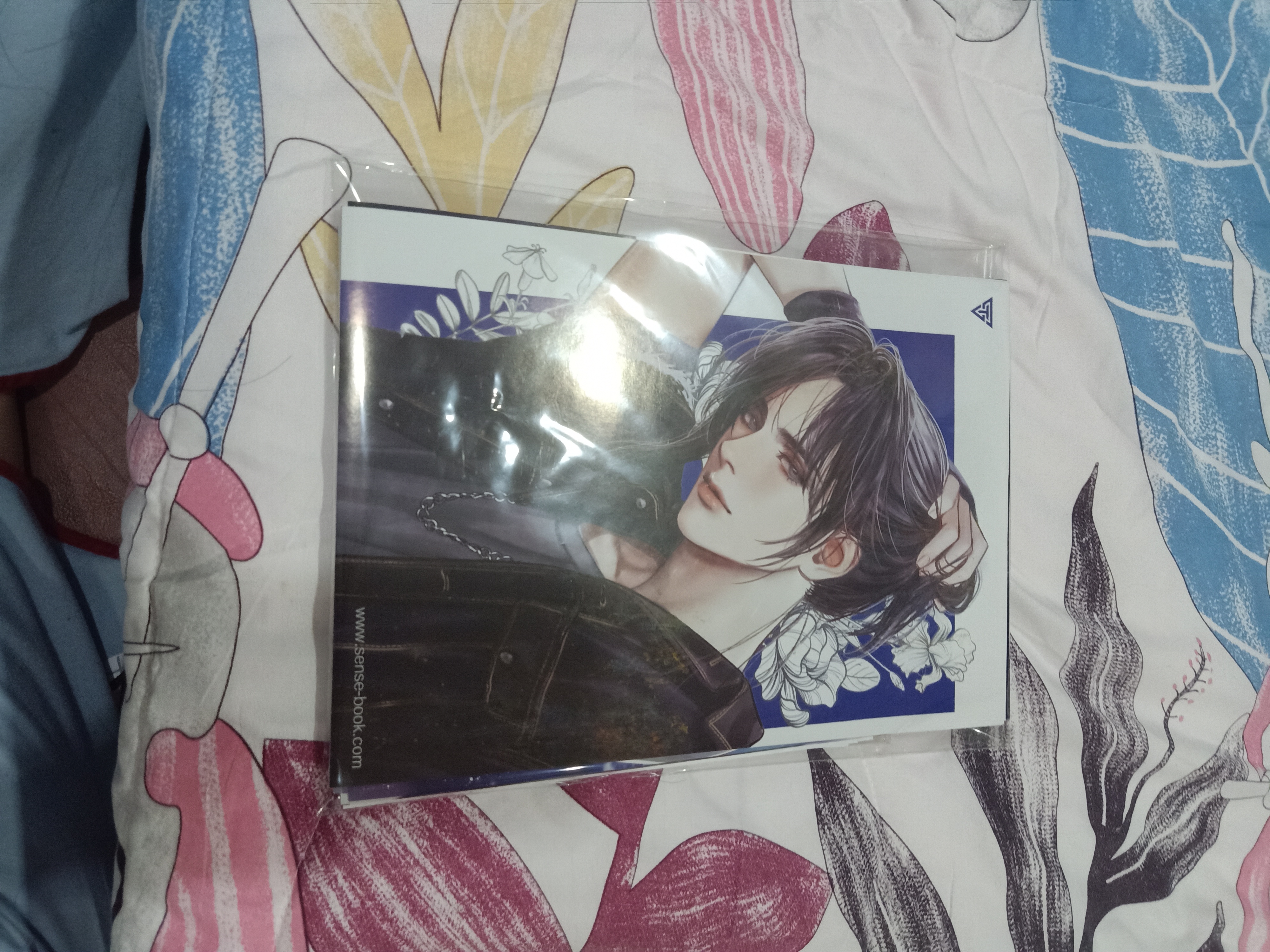 Boxset นิยายแปล Feng Mang รอบจอง