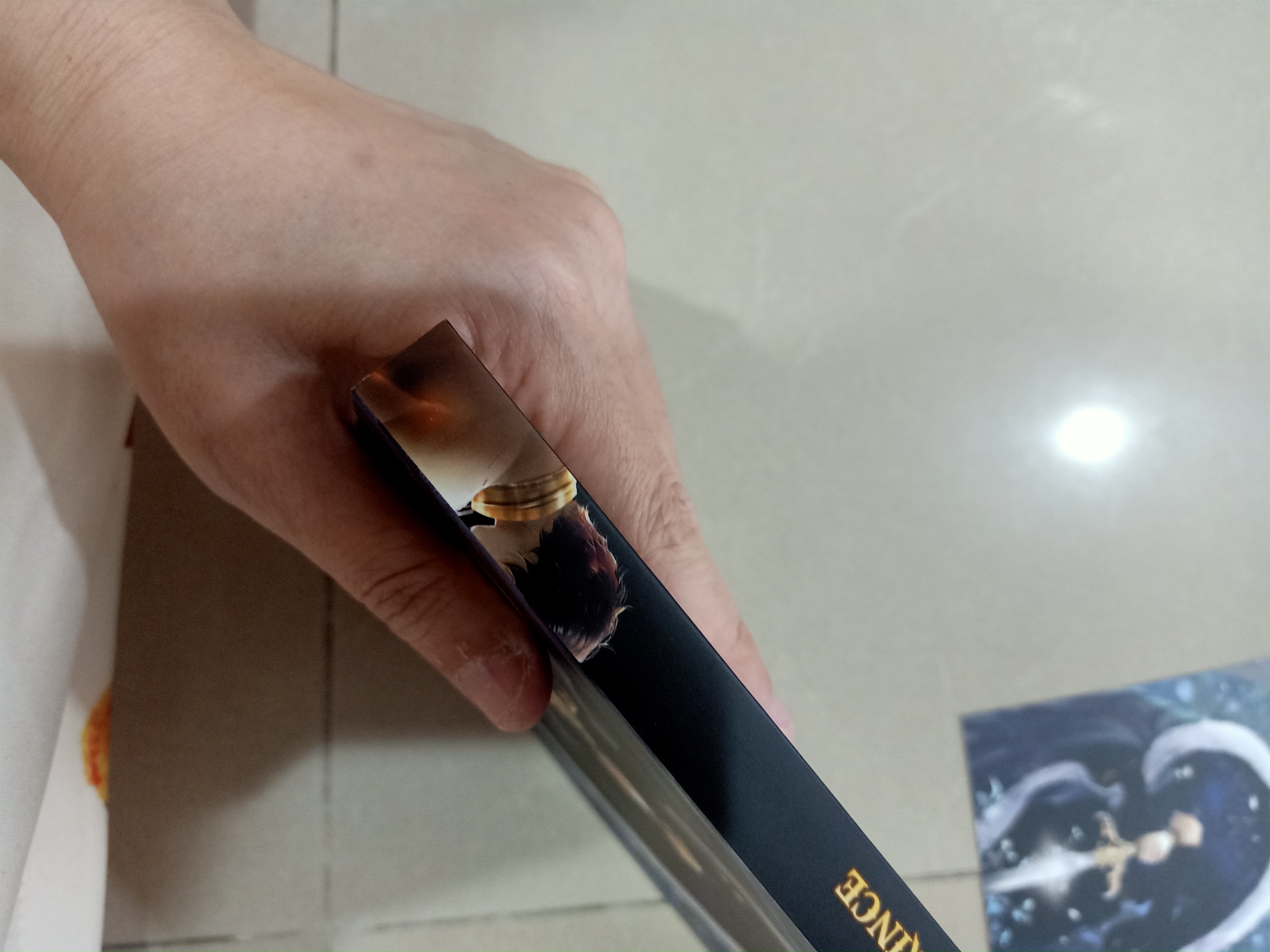 นิยายแปล Capitive Prince