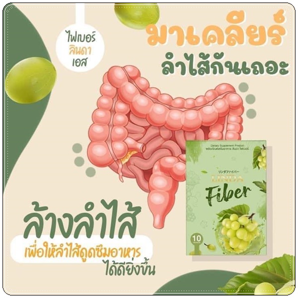 ลินดา ไฟเบอร์ Linda Fiber
