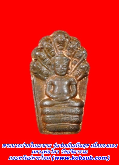 พระนาคปรกใบมะขาม รุ่นร่มเย็นเป็นสุข เนื้อทองแดง หลวงพ่อไสว วัดปรีดาราม