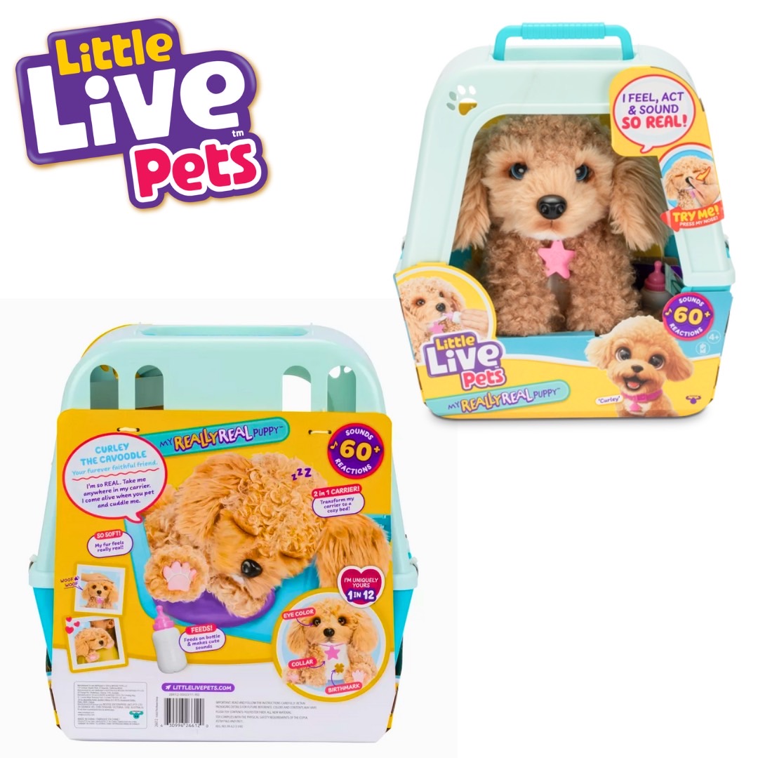 นำเข้า 🇺🇸 Live Pets My Really Real Puppy ✨ Curley The Cavoodle - เพื่อนรักขนฟูตัวใหม่ของคุณ 🐶 ราคา 2,990 บาท