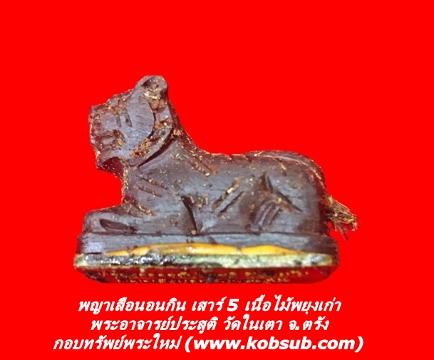 พญาเสือนอนกิน เสาร์ 5 เนื้อไม้พยุงเก่า พระอาจารย์ประสูติ วัดในเตา จ.ตรัง