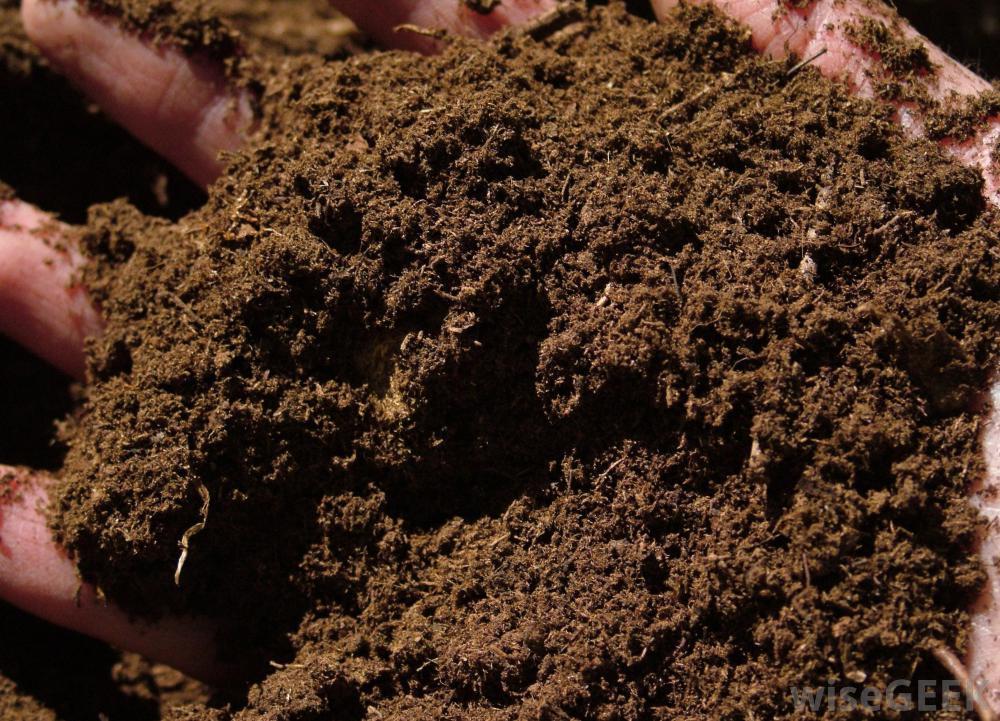 พีทมอส - Peat Moss 1 ลิตร (ประมาณ 300 กรัม)