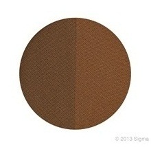 SIGMA :: Brow Powder Duo - Auburn แป้งเขียนคิ้ว สี Auburn สำหรับเขียนคิ้วเพื่อให้คิ้วแลดูเป็นธรรมชาติ