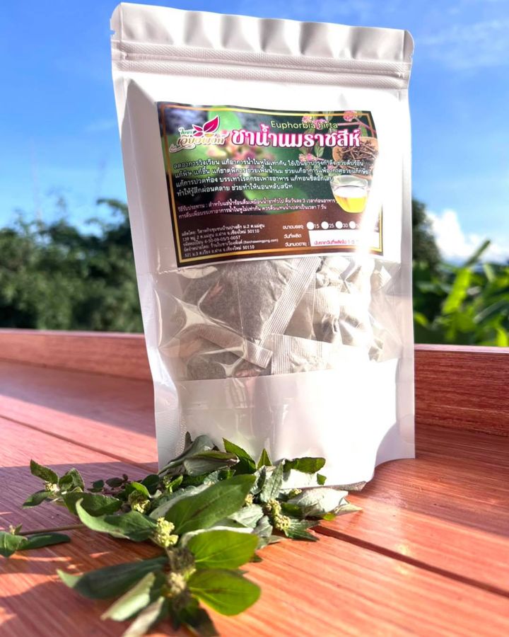 ชาน้ำนมราชสีห์ (ใบชาเวียงพิงค์) Garden spurge ขนาด 50 ซองชา สมุนไพรน้ำนมราชสีห์ บรรเทาอาการน้ำในหูไม่เท่ากัน เวียนหัว บ้านหมุน ช่วยกระตุ้นระบบภูมิคุ้มกันในร่างกาย
