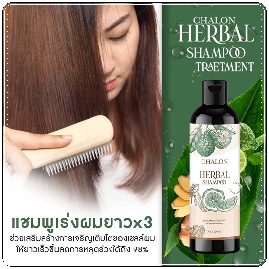 แชมพูมะกรูดชลอน Chalon Herbal Shampoo (แถมฟรี ทรีทเม้นชลอน)