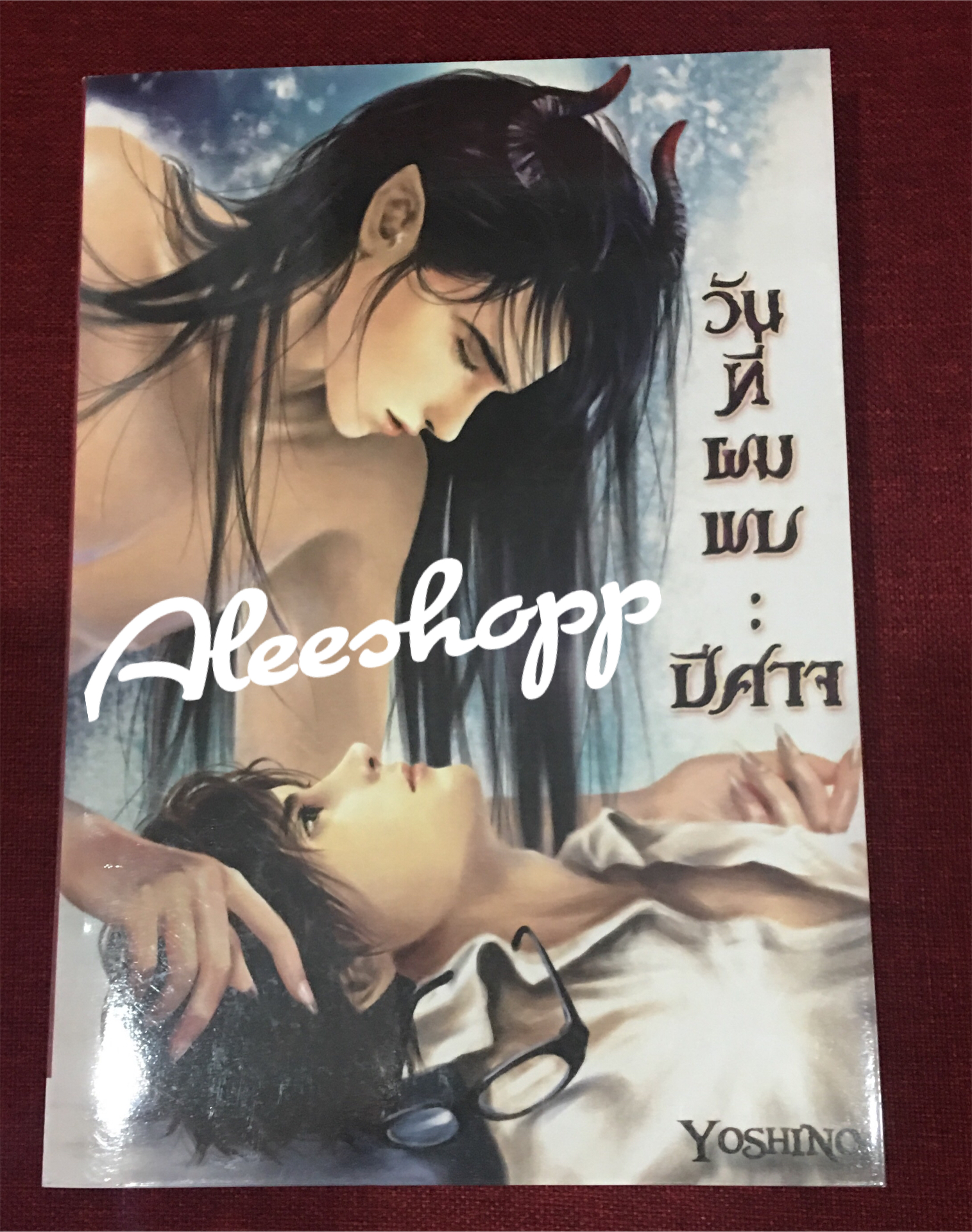 นิยาย วันที่ผมพบกับปีศาจ