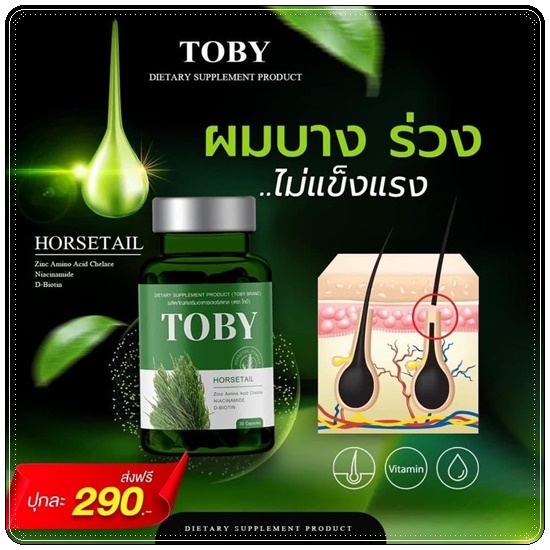 วิตามินลดผมร่วง เร่งผมยาว โทบี้ TOBY Horsetail