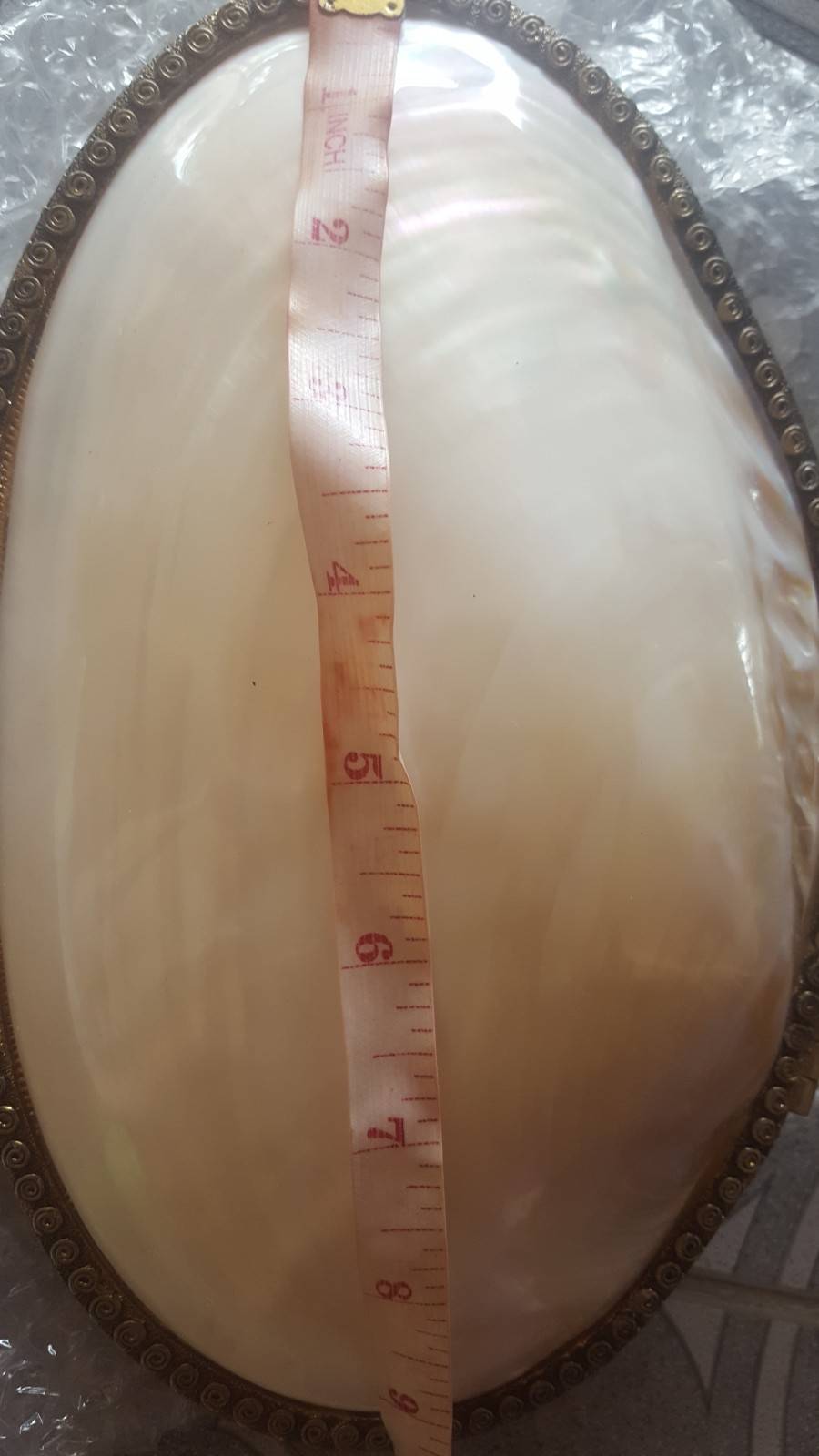 กระเป๋าเปลือกหอยมุกไซตจัมโบ้