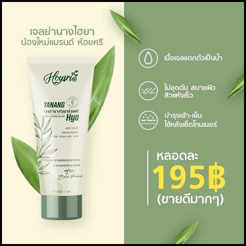 เจลย่านางห้อยศรี Hoysri Yanang Hya เจลย่านางไฮยา