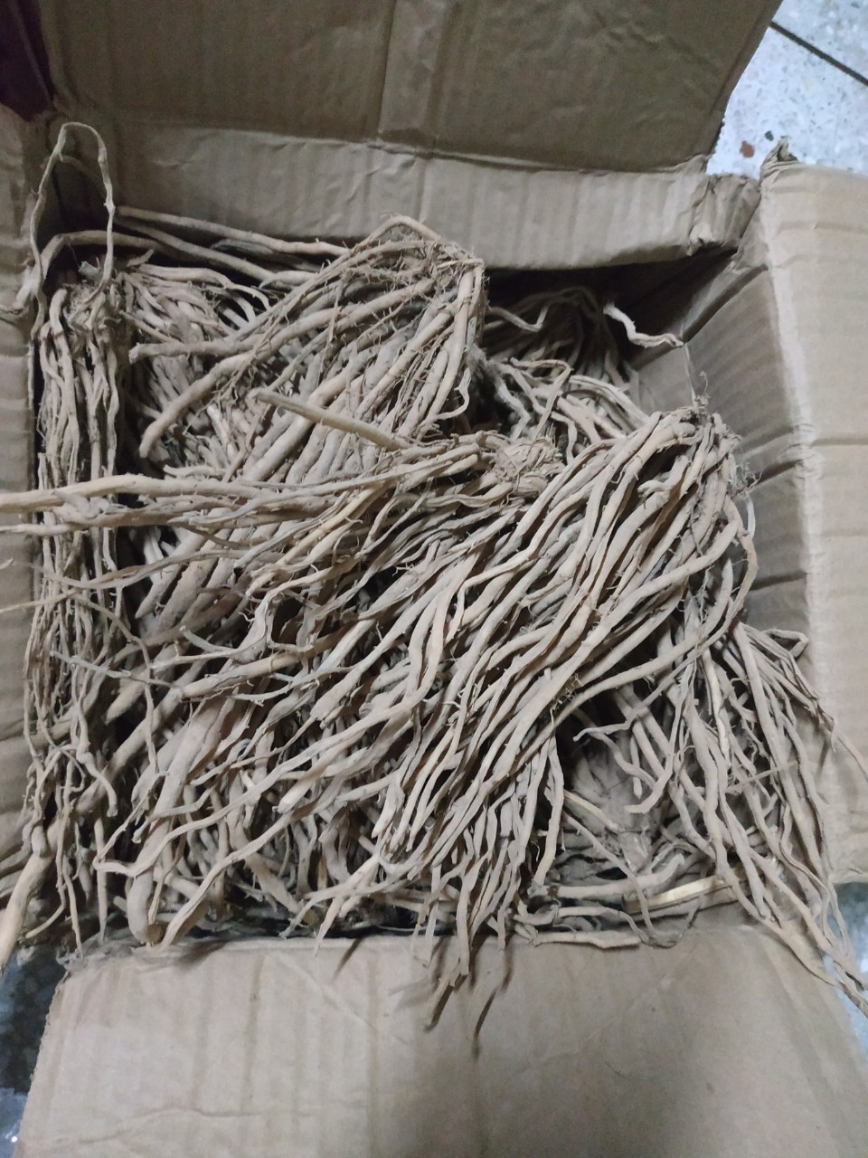 รากหน่อไม้ฝรั่งสีม่วง - Purple Passion Asparagus Root