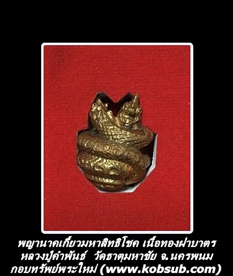 พญานาคเกี้ยวมหาสิทธิโชค เนื้อทองฝาบาตร หลวงปู่คำพันธ์ วัดธาตุมหาชัย