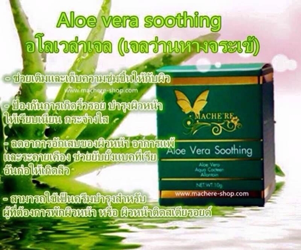 อโลเวล่าเจล (เจลว่านหางจระเข้) Aloe Vera Soothing