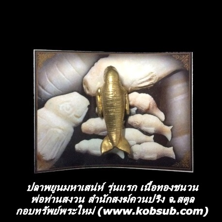 ปลาพยูนมหาเสน่ห์ รุ่นแรก เนื้อทองชนวน พ่อท่านสงวน สำนักสงฆ์ควนปริง
