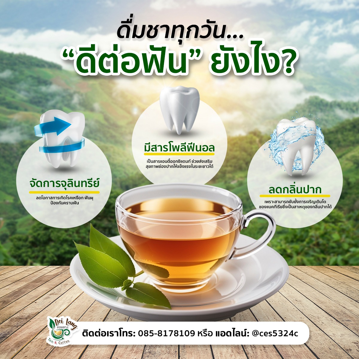 ชาเขียว Green tea ของฝาก สงกรานต์ ปีใหม่ ลดบวม ลดไขมัน ชาขับโซเดียม ลดพุง ขายดี หลากรสชาติ Various flavors of Assam tea ชาพีช Peach ชาโออิชิ Oishi ชามะลิ ชาหอมหมื่นลี้ Osmanthus ชาลิ้นจี่ lynchee ชามะม่วง mango ชากุหลาบ rose ชานม milk ชาเก๊กฮวย ชาน้ำค้าง