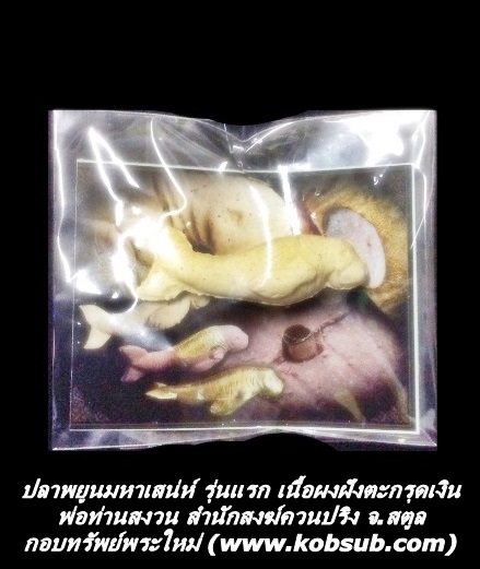 ปลาพยูนมหาเสน่ห์ รุ่นแรก เนื้อผงฝังตะกรุดเงิน พ่อท่านสงวน สำนักสงฆ์ควนปริง
