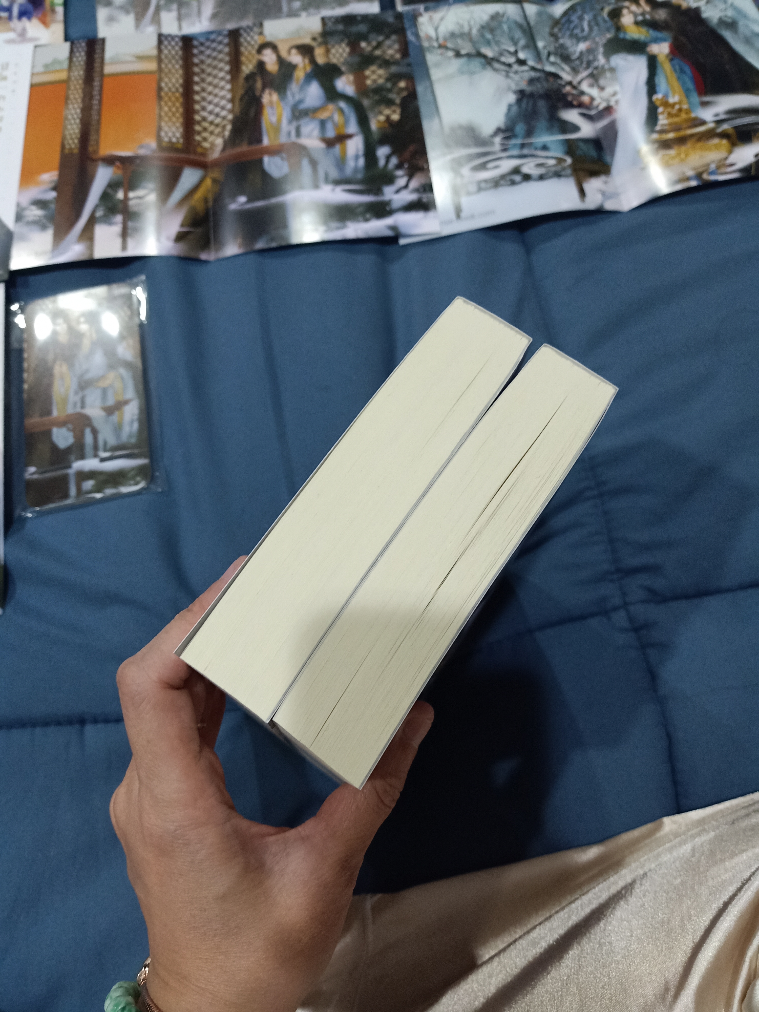 Boxset นิยายแปล ปีนั้นที่ข้าคนคงหา รอบจอง + สแตนดี้