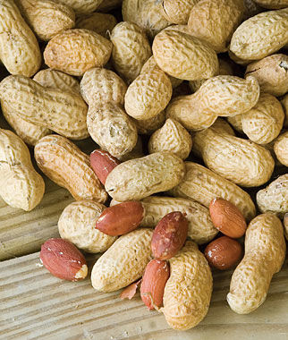ถั่วลิสงเวอร์จิเนียจัมโบ้ - Virginia Jumbo Peanut