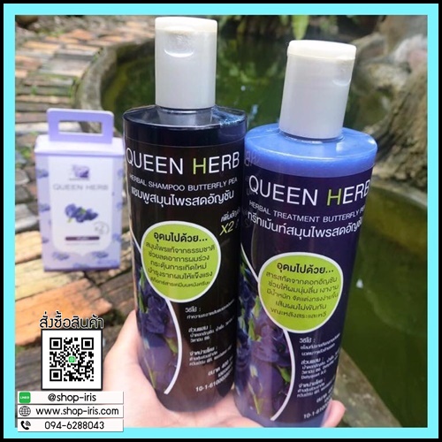 แชมพูสมุนไพรควีนเฮิร์บ แชมพูอัญชัน & ทรีทเม้นอัญชัน Queenherb