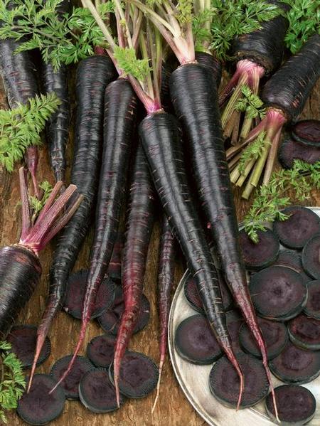 แครอทสีดำ - Black Nebula Carrot
