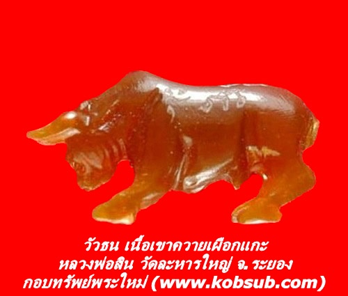 วัวธนู เนื้อเขาควายเผือกแกะ หลวงพ่อสิน วัดละหารใหญ่