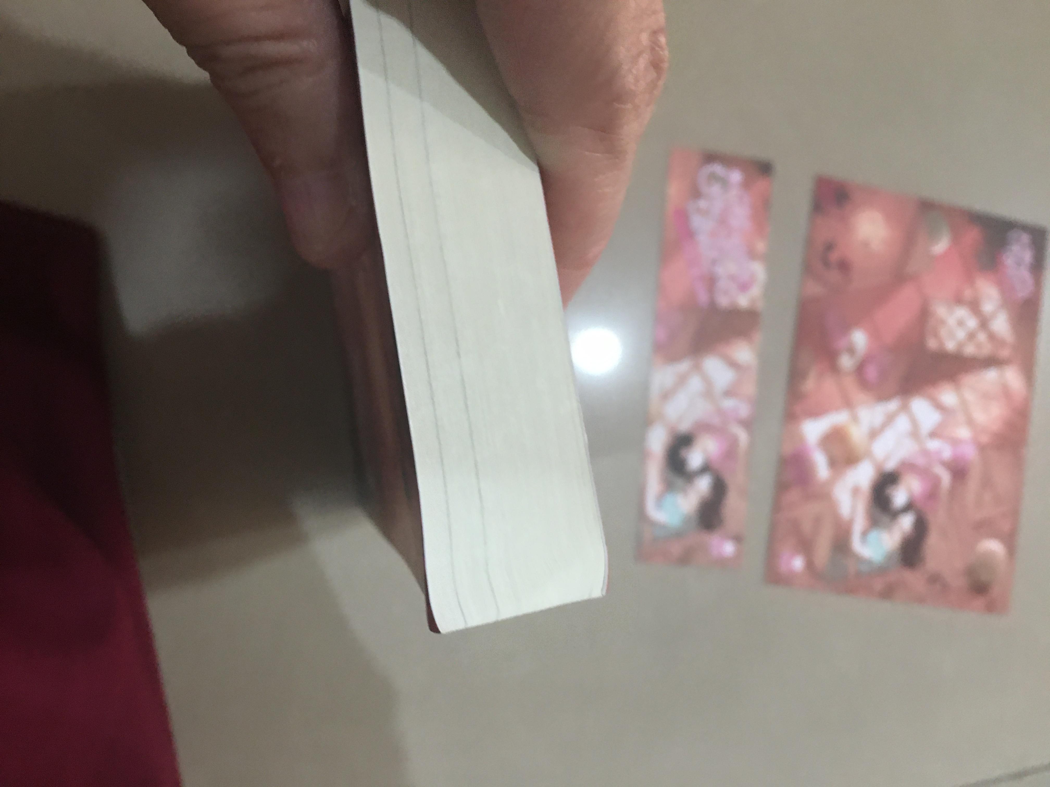 นิยายแต่ง กุหลาบแดงกับแมวขาว
