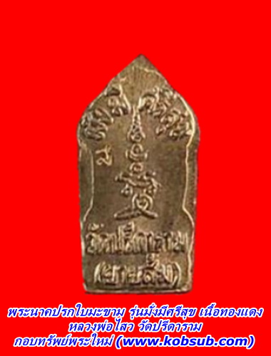พระนาคปรกใบมะขาม รุ่นมั่งมีศรีสุข เนื้อทองแดง หลวงพ่อไสว วัดปรีดาราม