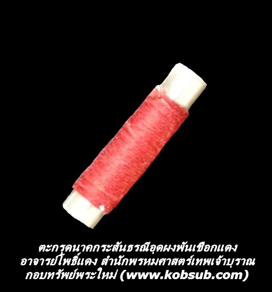 ตะกรุดนาคกระสันธรณ๊อุดผงพันเชือกแดง อาจารย์โพธิ์แดง สำนักพรหมศาสตร์เทพเจ้าบุราณ