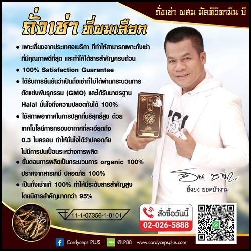 ถั่งเช่า ผสมมัลติวิตามินบี ถั่งเช่ายิ่งยง ของแท้