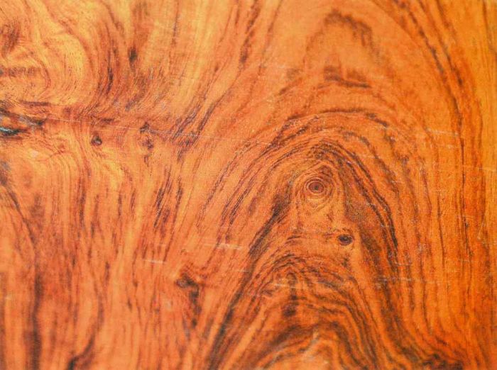 พะยูงไหหลำ - Dalbergia Odorifera (ไม้เนื้อสวย)