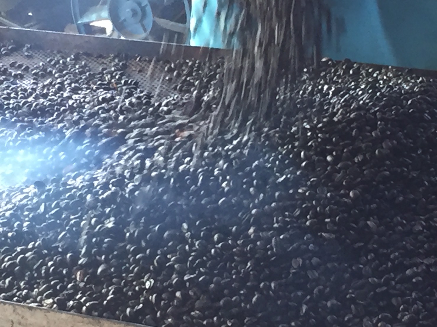 เมล็ดกาแฟ ชนิดคั่วเข้ม ขนาด 500 กรัม Roasted Bean Coffee - Dark Roast 500 g กาแฟอาราบิก้า (Arabica) 100% Shade Grown Coffee ปลูกกาแฟใต้ร่มเงา เมล็ดกาแฟออร์แกนิค ปลูกแบบธรรมชาติ ปลอดสาร จากยอดดอย อ.แม่อาย จ.เชียงใหม่