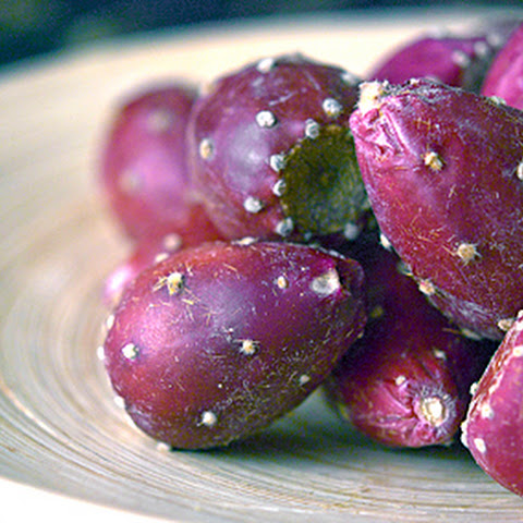 พริคลี่แพร์ผลสีแดง - Red fruit Prickly Pear