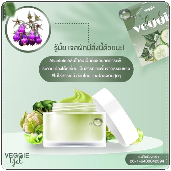 เจลผักพักหน้า Veggie Organic Gel