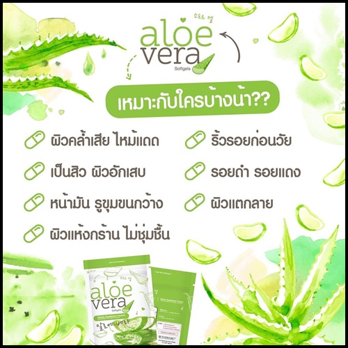 ว่านหางจระเข้สกัดเย็น Aloe Vera Softgels อโลเวร่าชนิดเม็ด