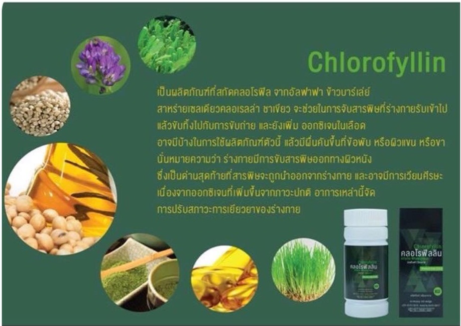 คลอโรฟิลลิน ผักเม็ดสำหรับคนไม่ชอบกินผัก (Chorofyllin Alfalfa Wheatgrass)