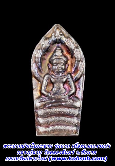 พระนาคปรกใบมะขาม รุ่นแรก เนื้อทองแดงรมดำ หลวงปู่ฉาบ วัดคลองจันทน์ จ.ชัยนาท
