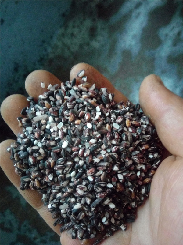 ข้าวอินเดียเมล็ดยาวสีดำ - Black indica Rice