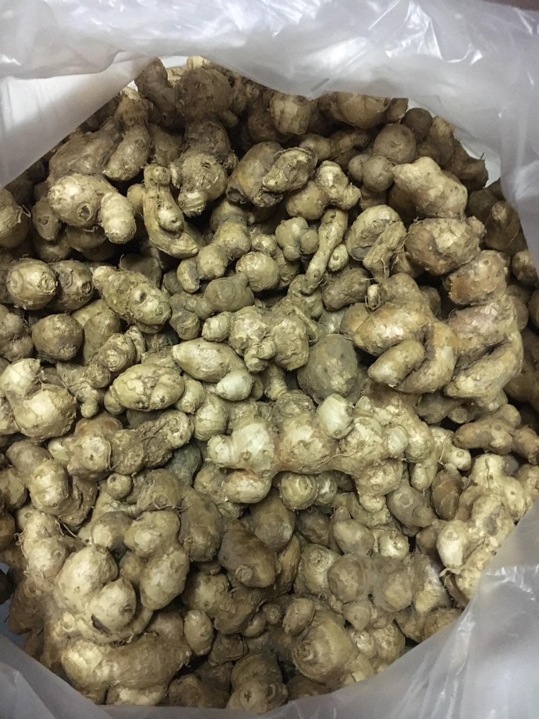 กระชายดำ ขนาด 1 กิโลกรัม ปลูกบนดอยเชียงใหม่ (ไม่ใช่ของนำเข้า)โสมไทย โสมกระชายดำ กระชายดำแห้ง ผลผลิตใหม่เดือนมีนาคม 2566 Black Galingale ช่วยบำรุงฮอร์โมนเพศชาย บำรุงหัวใจ ช่วยในระบบหมุนโลหิตของร่างกาย ช่วยให้กล้ามเนื้อแข็งแรง ช่วยให้นอนหลับ