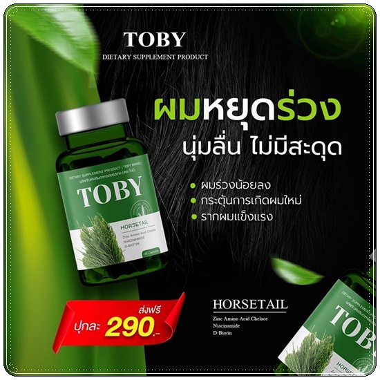 วิตามินลดผมร่วง เร่งผมยาว โทบี้ TOBY Horsetail