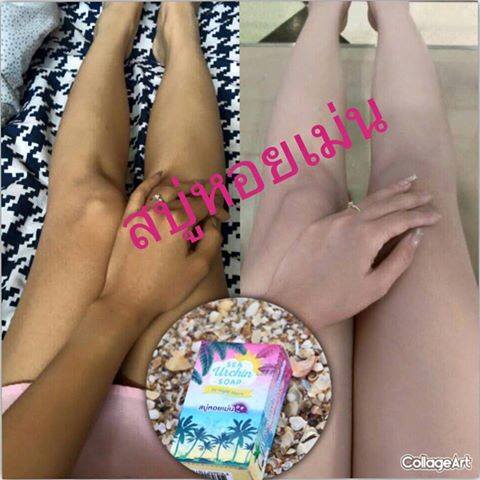 สบู่หอยเม่น (Sea Urchin Soap By Night Merry)