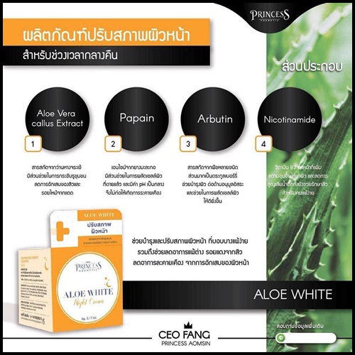 ครีมปรับสภาพผิว NP-WHITE NIGHT CREAM