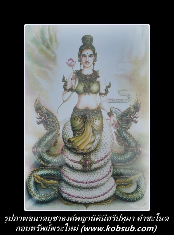 พญานาคิณีศรีปทุมมา คำชะโนด รูปภาพขนาดบูชา