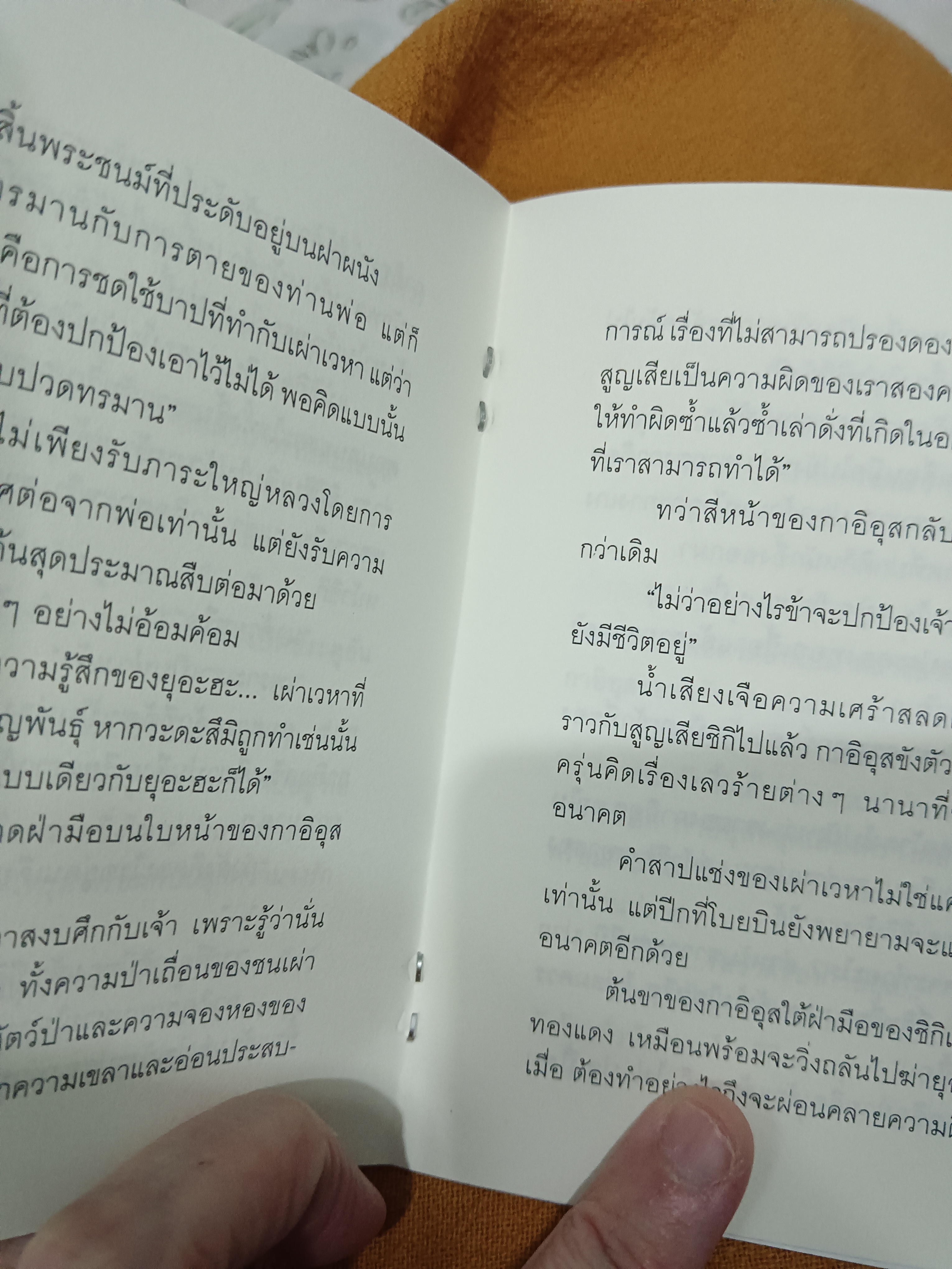 นิยายแปล + เล่มพิเศษ
