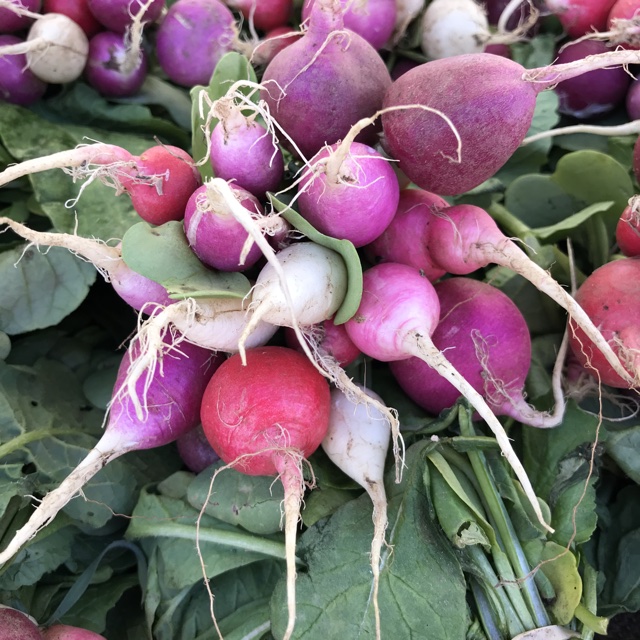แรดิชไข่อีสเตอร์คละสี - Mixed Easter Egg Radish