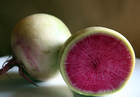 แรดิชแตงโม - Watermelon Radish